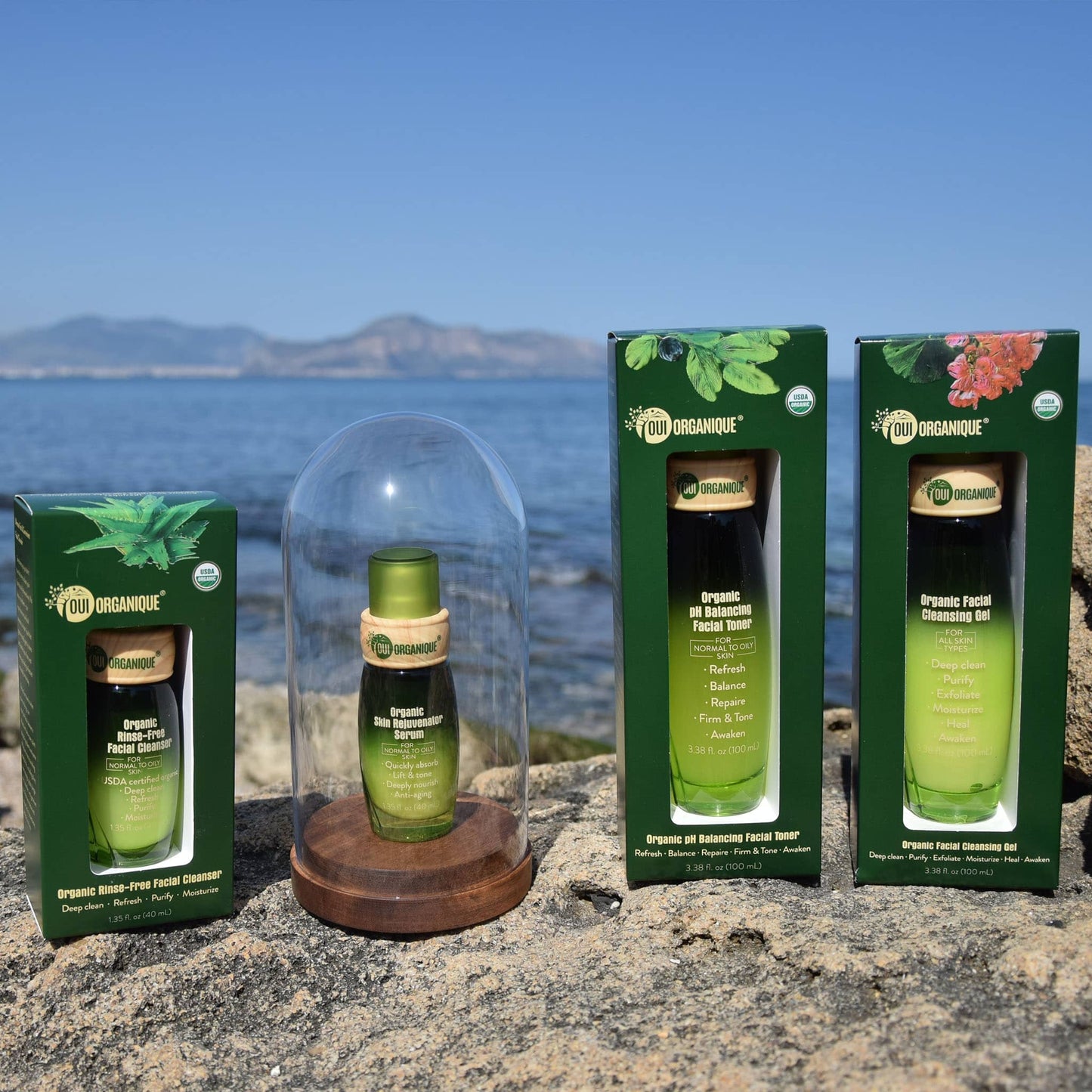 Facial cleanser and toner bottles on rocky shore with glass dome